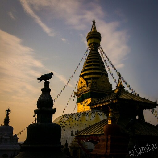 Landscape Photography