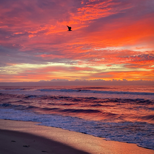 Landscape Photography