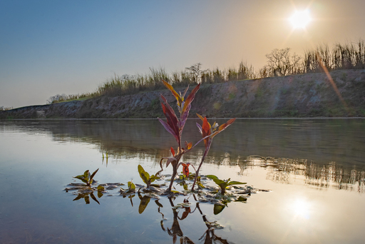 Landscape Photography